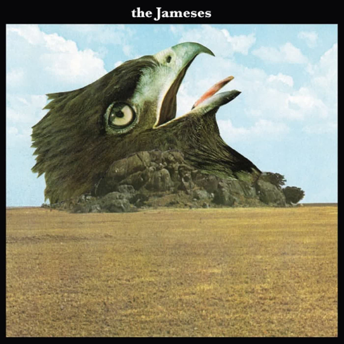 The Jameses – Caribou vinyl cover