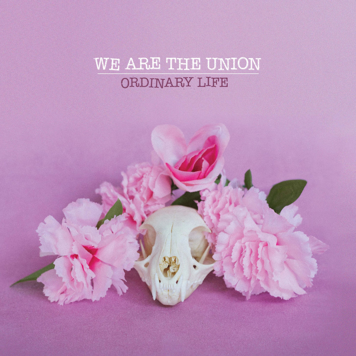 We Are The Union – Ordinary Life vinyl record cover