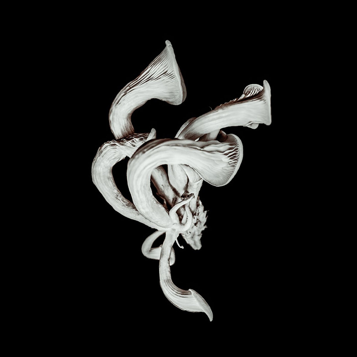 Pixies – Beneath The Eyrie vinyl record cover