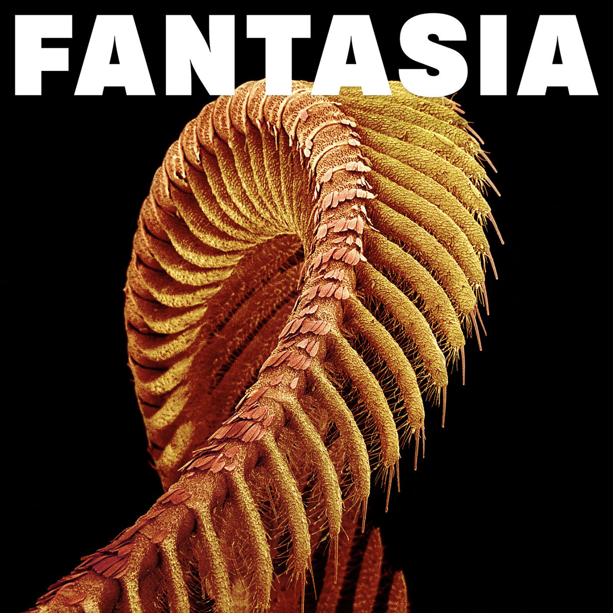 Slift – Fantasia vinyl record cover