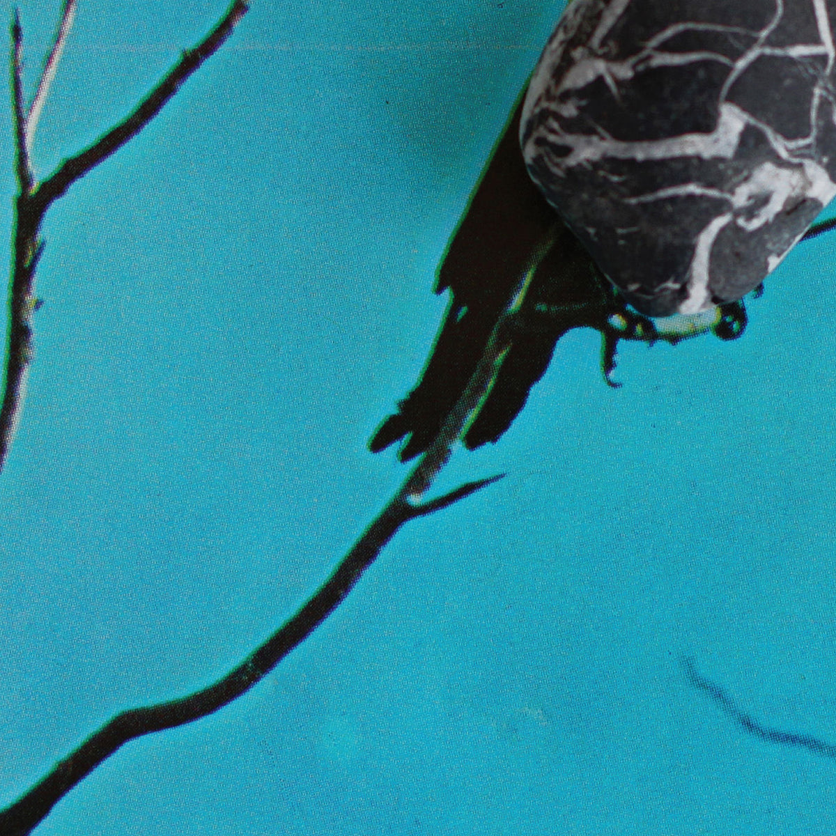 Tangents – Stateless vinyl record cover