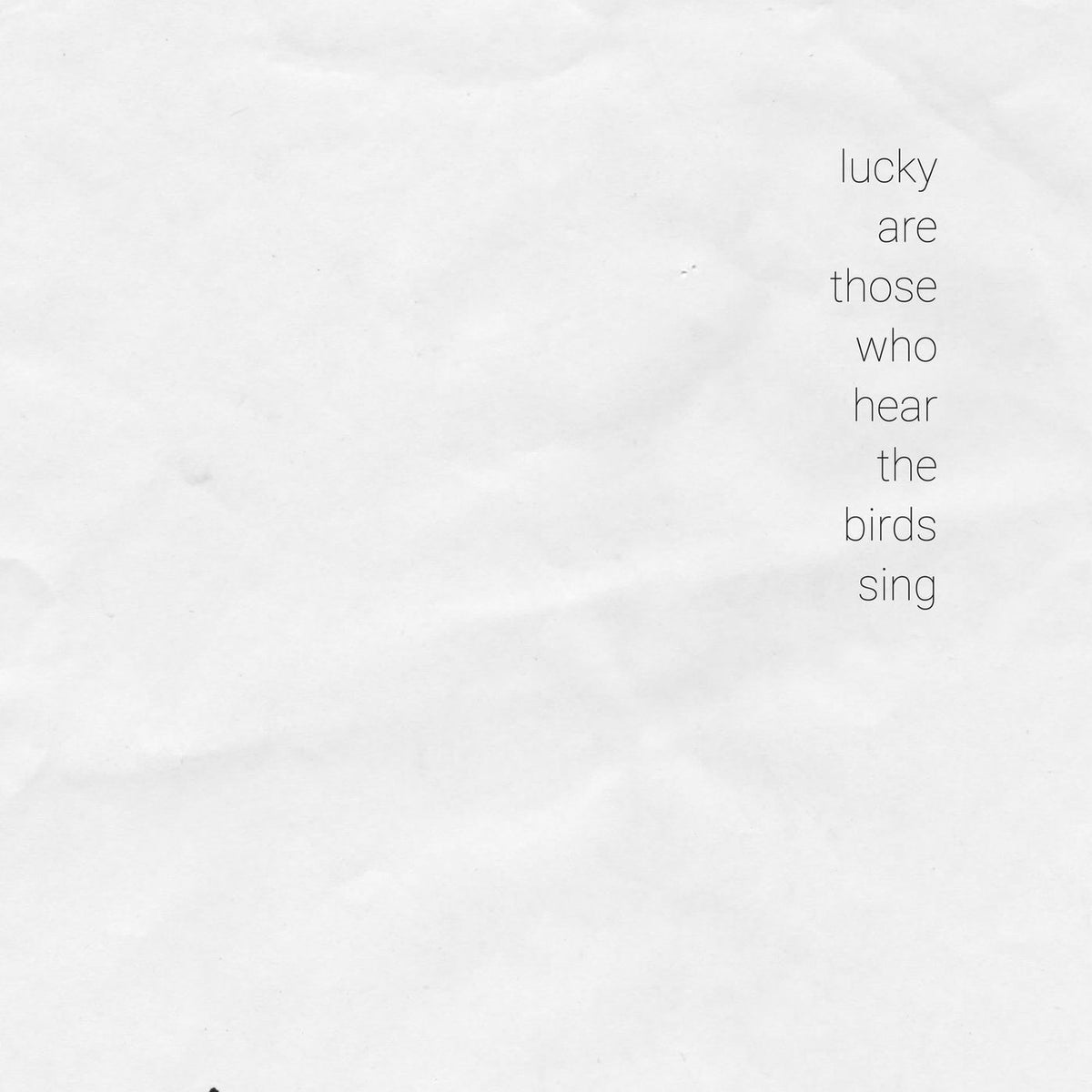 Various Artists – Lucky Are Those Who Hear The Birds Sing vinyl record cover