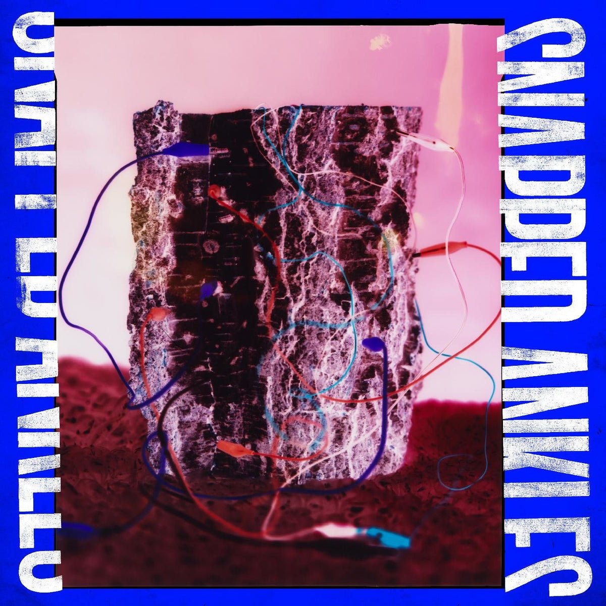 Snapped Ankles – Forest of Your Problems vinyl record cover