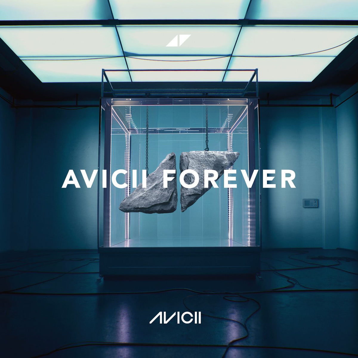 Avicii – Avicii Forever vinyl record cover