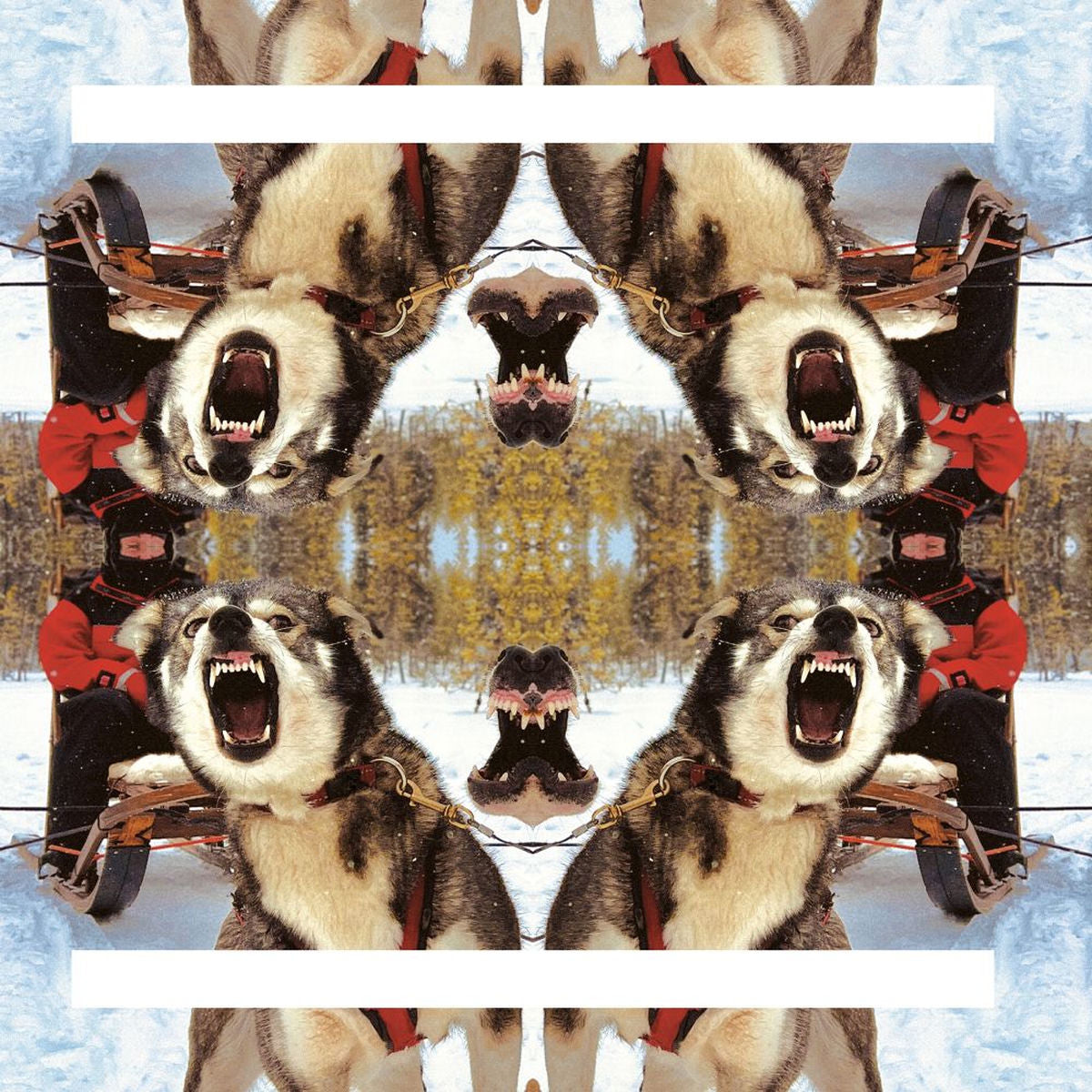 Destiino – II vinyl record cover