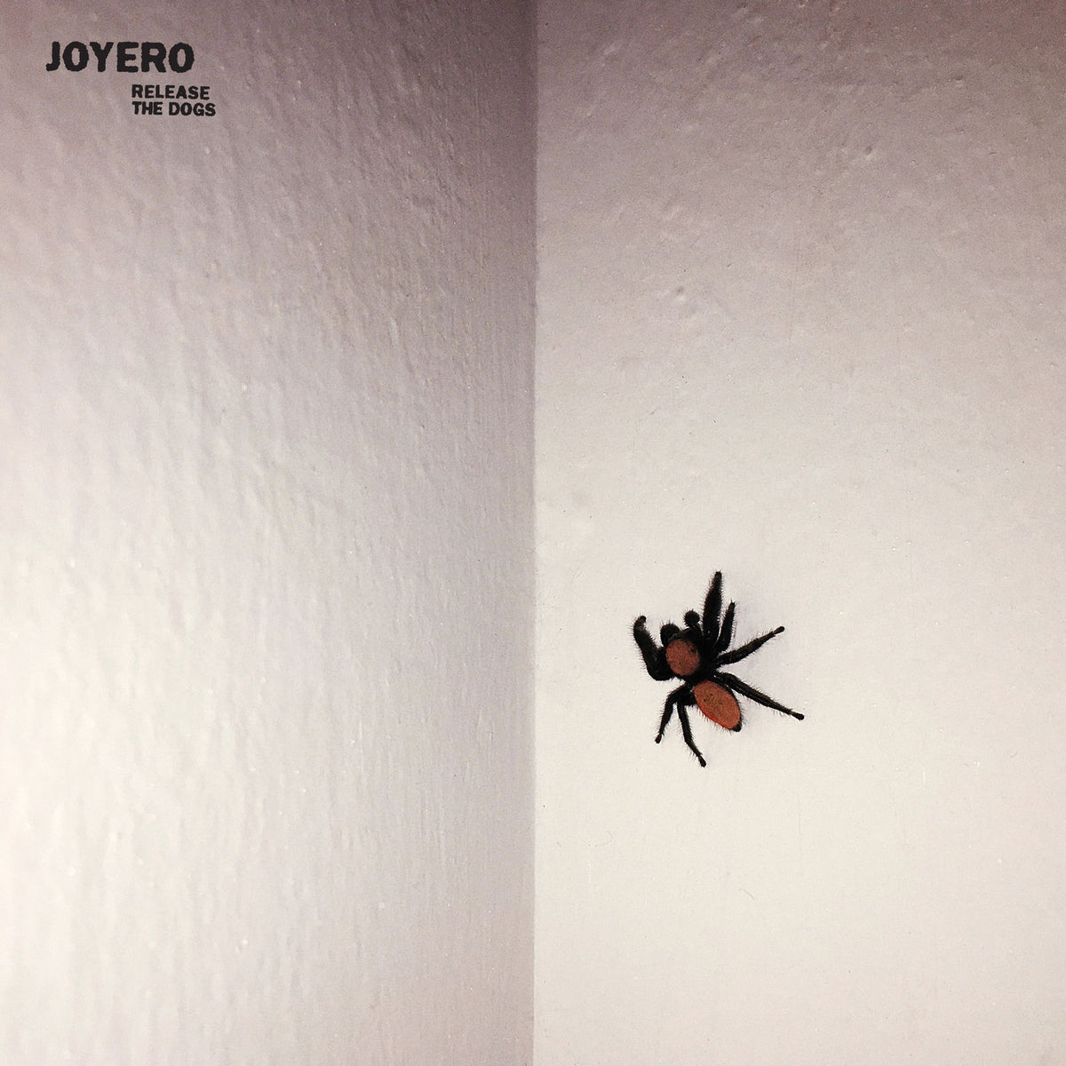 Joyero – Release the Dogs vinyl record cover
