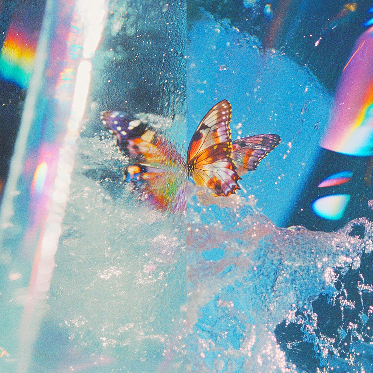 Daphni – Butterfly vinyl record cover