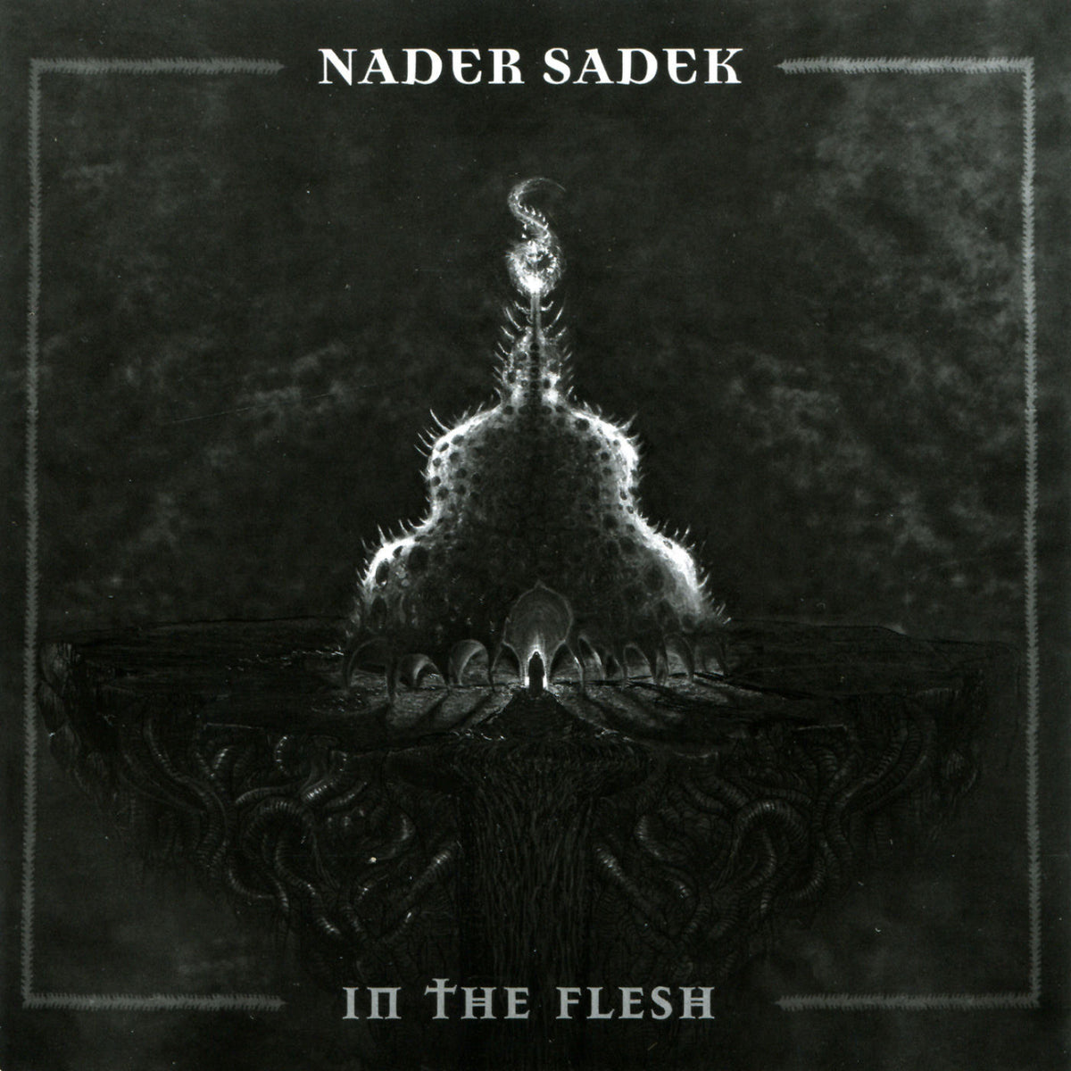 Nader Sadek – In the Flesh vinyl record cover