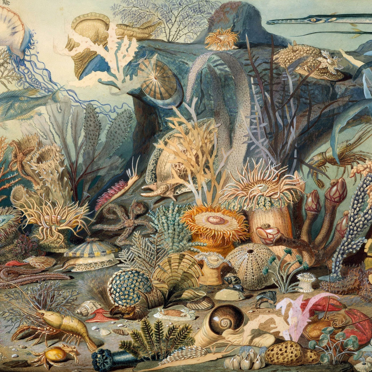 Chypho – Episodes In Oceanography 2 vinyl record cover