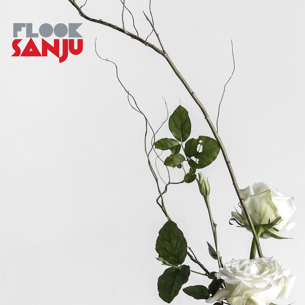 Flook – Sanju vinyl record cover