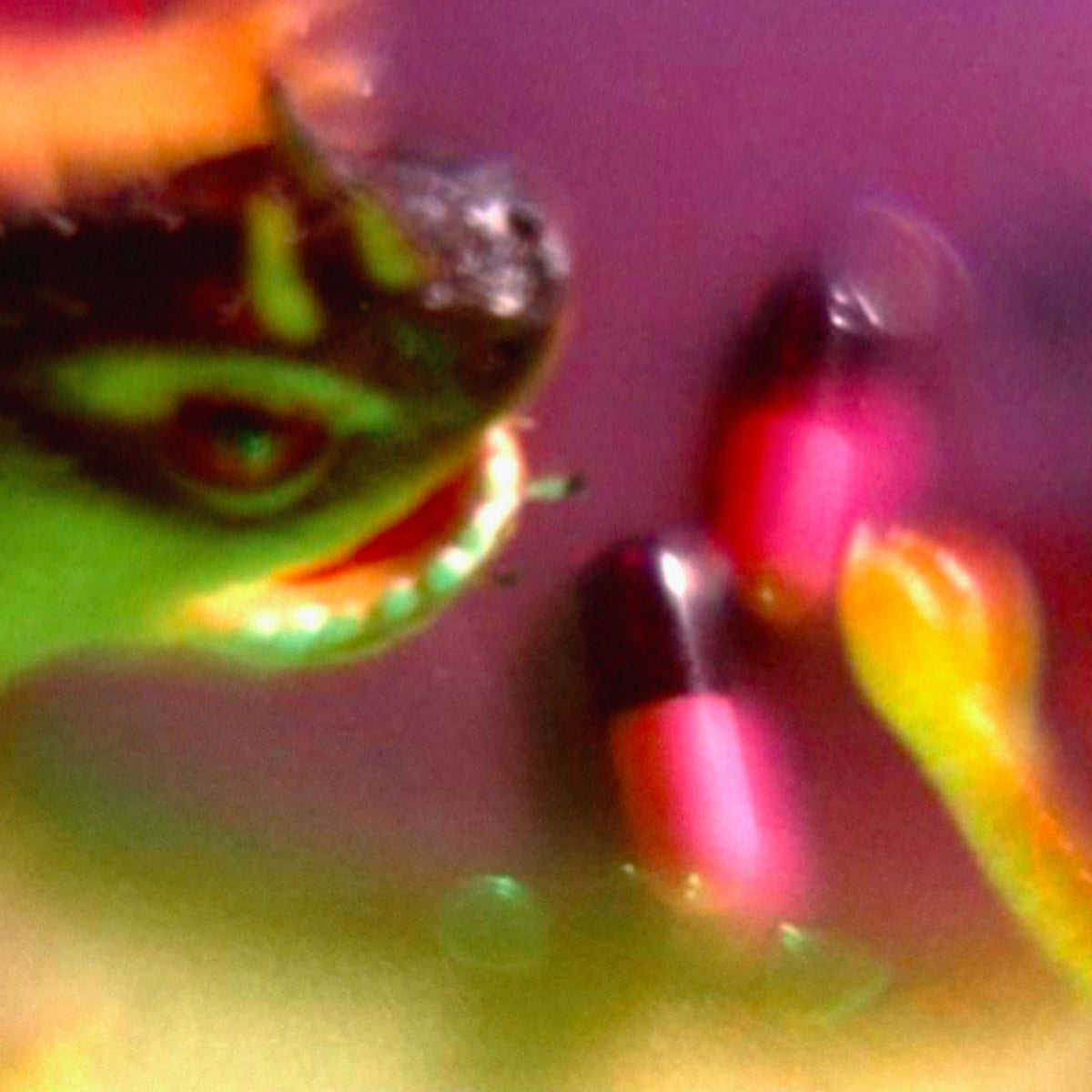 Bush Tetras – Take the Fall vinyl cover