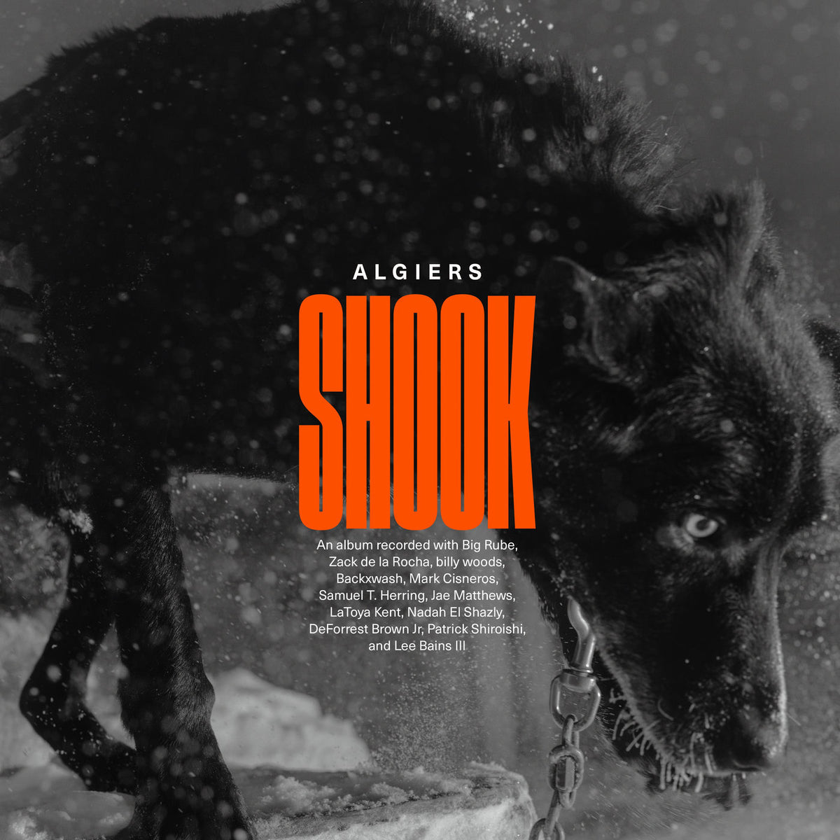 Algiers – Shook vinyl record cover