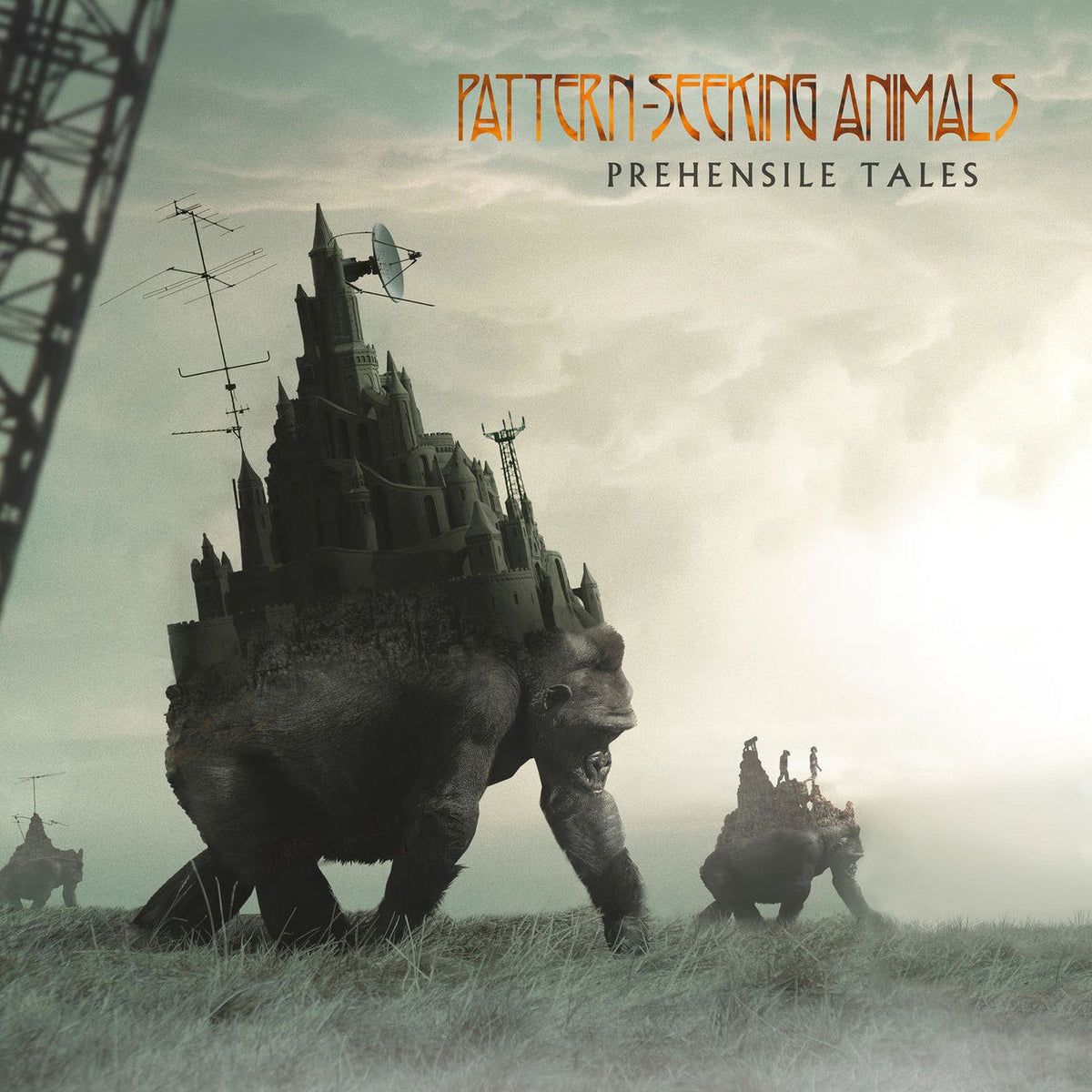 Pattern-Seeking Animals – Prehensile Tales vinyl record cover