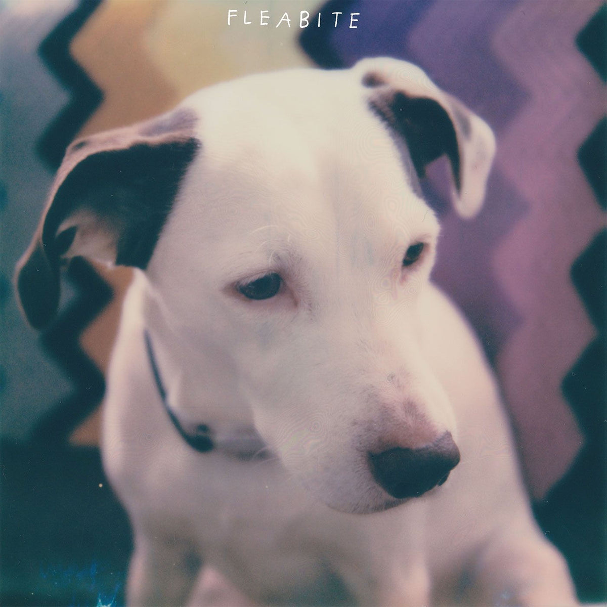 Fleabite – NVM vinyl cover