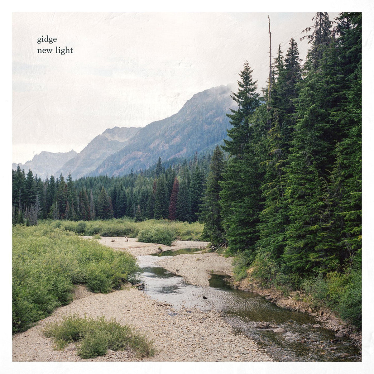Gidge – New Light vinyl record cover