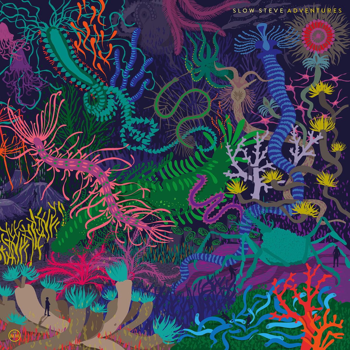 Slow Steve – Adventures vinyl record cover