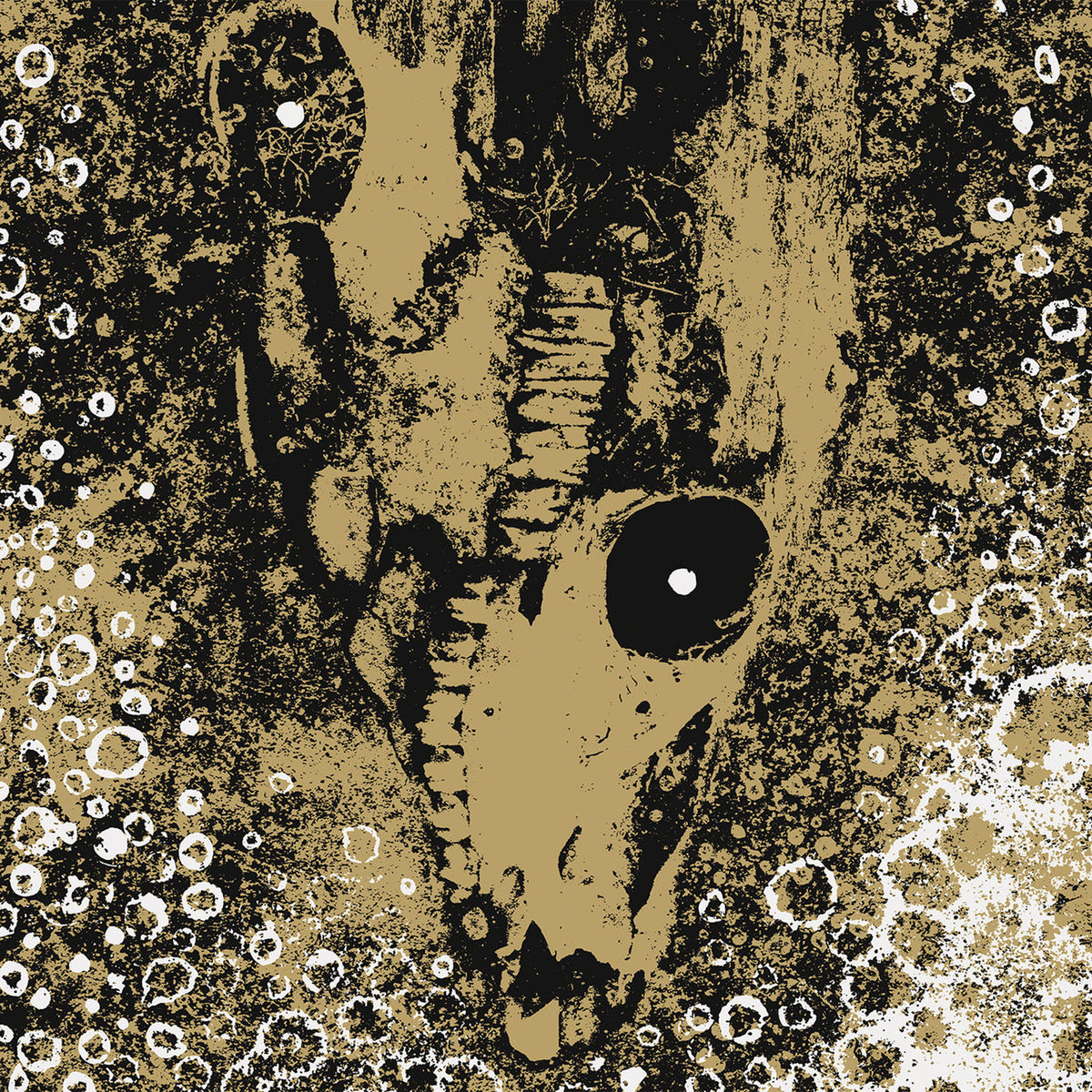 Rise And Fall – Our Circle Is Vicious vinyl record cover