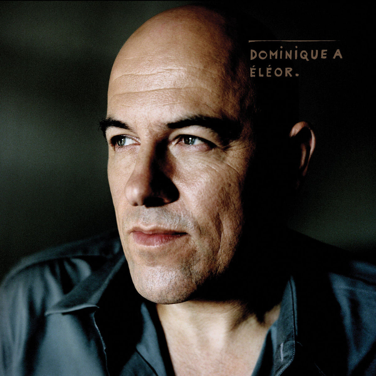 Dominique A – Eleor vinyl record cover