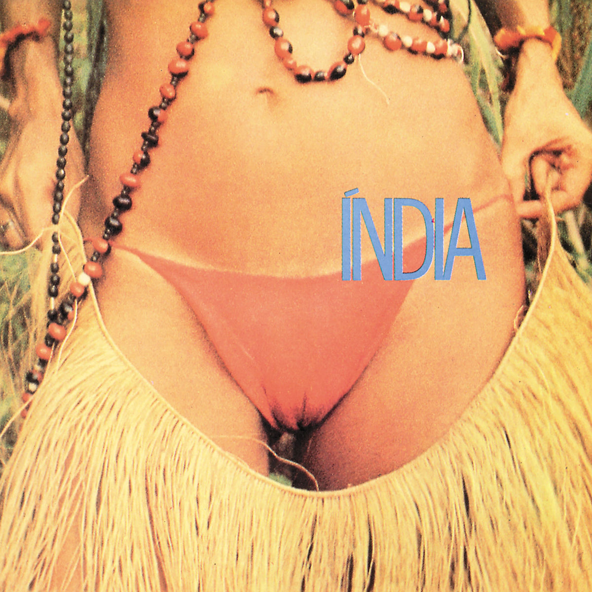 Gal Costa – India vinyl cover