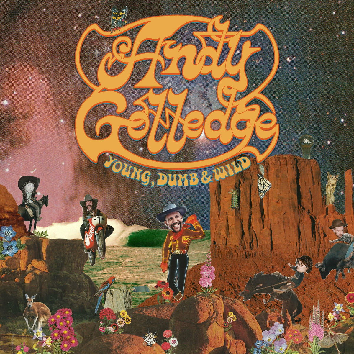 Golledge, Andy – Young, Dumb & Wild vinyl record cover