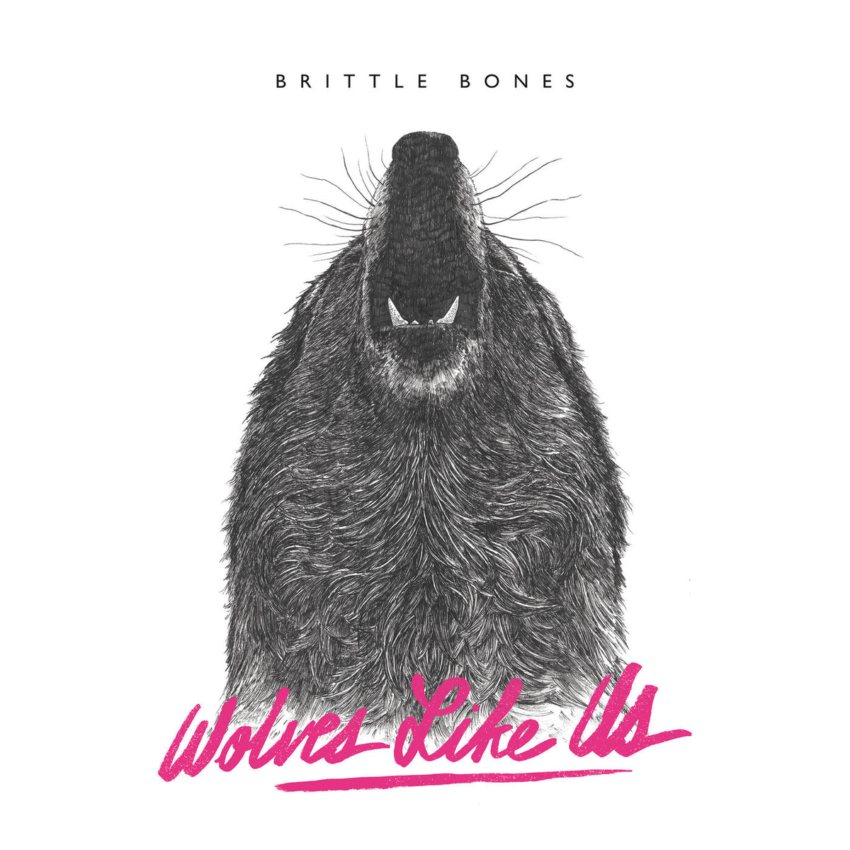 Wolves Like Us – Brittle Bones vinyl record cover