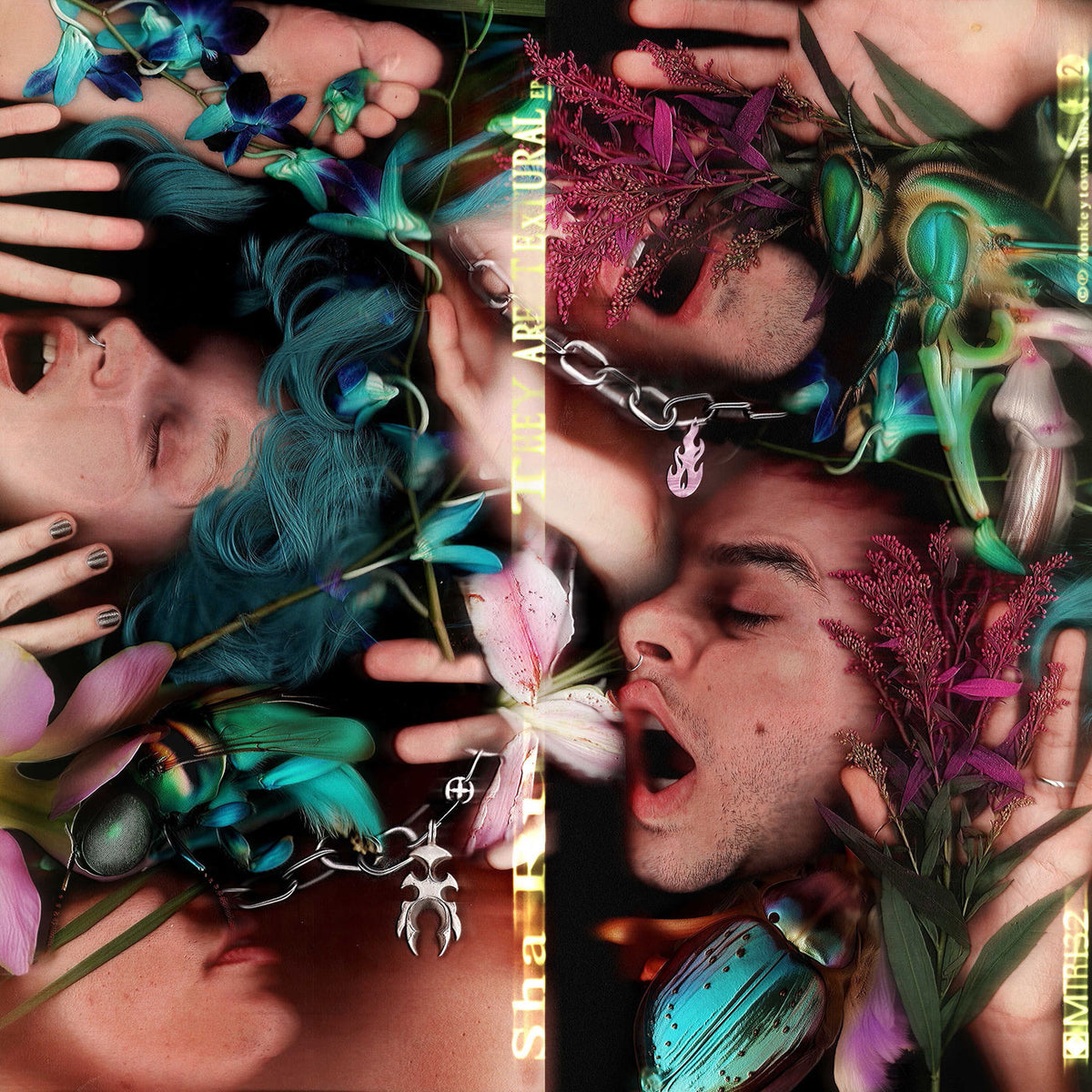 Sha Ru – They Are Textural vinyl cover