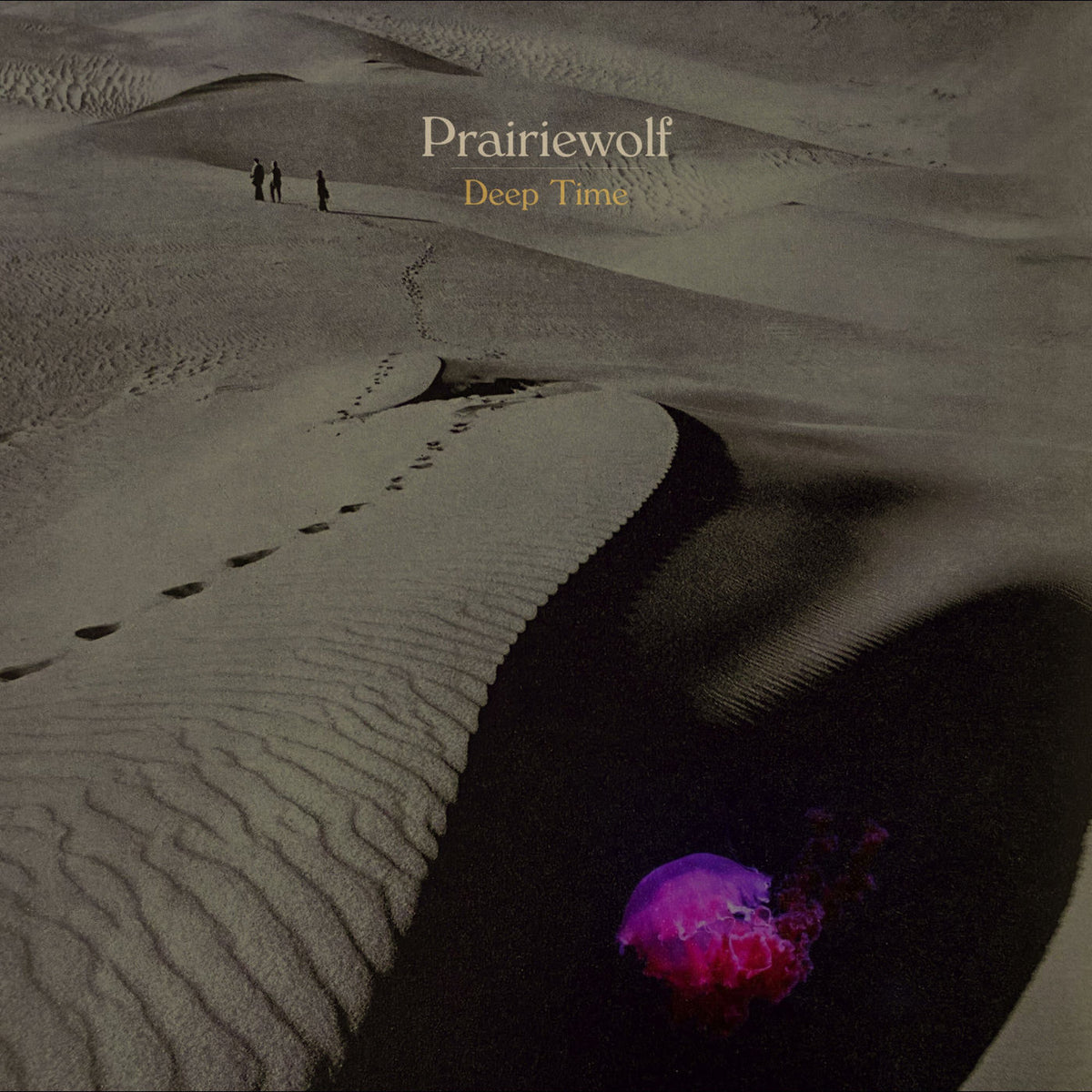 Prairiewolf – Deep Time vinyl record cover