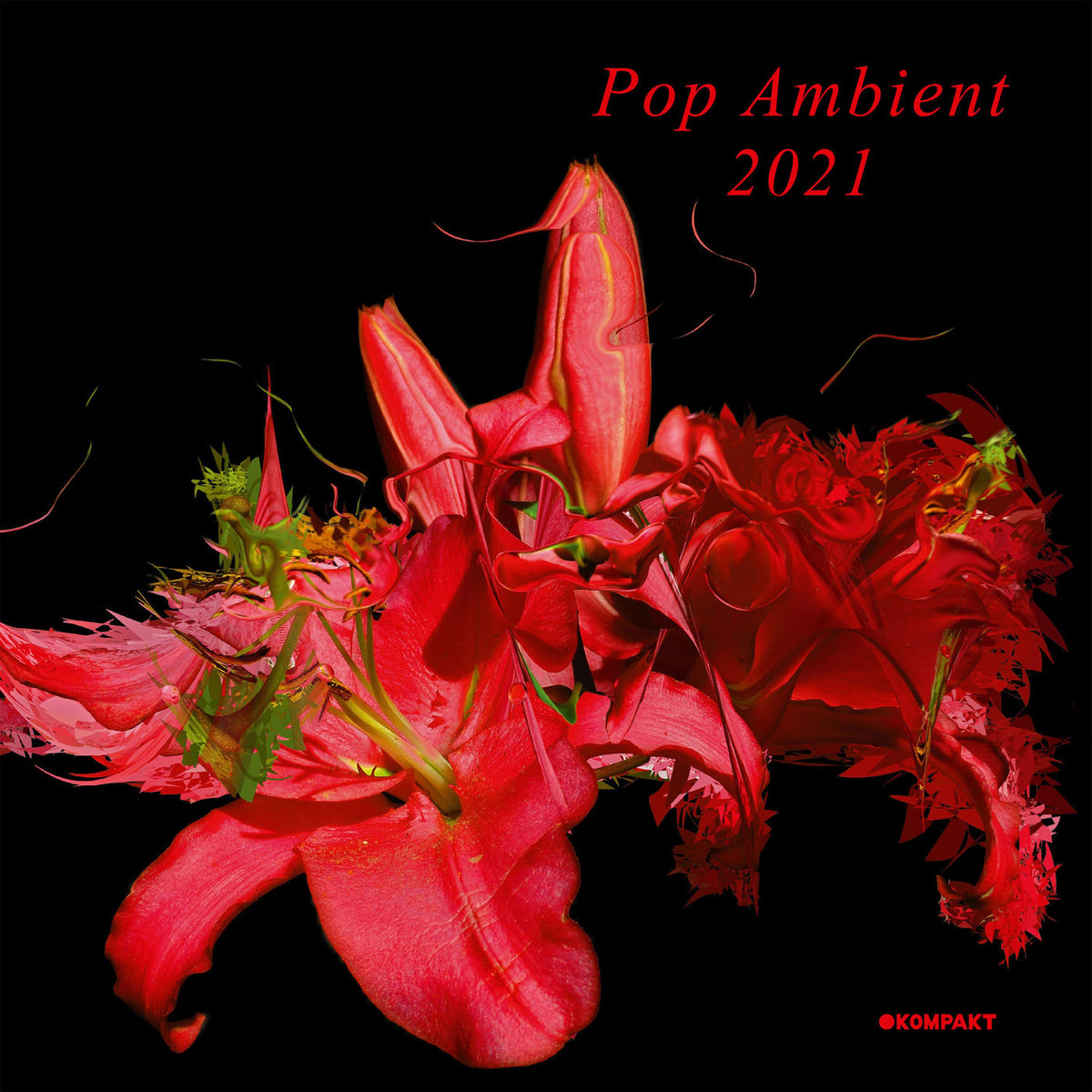 Various Artists – Pop Ambient 2021 vinyl record cover