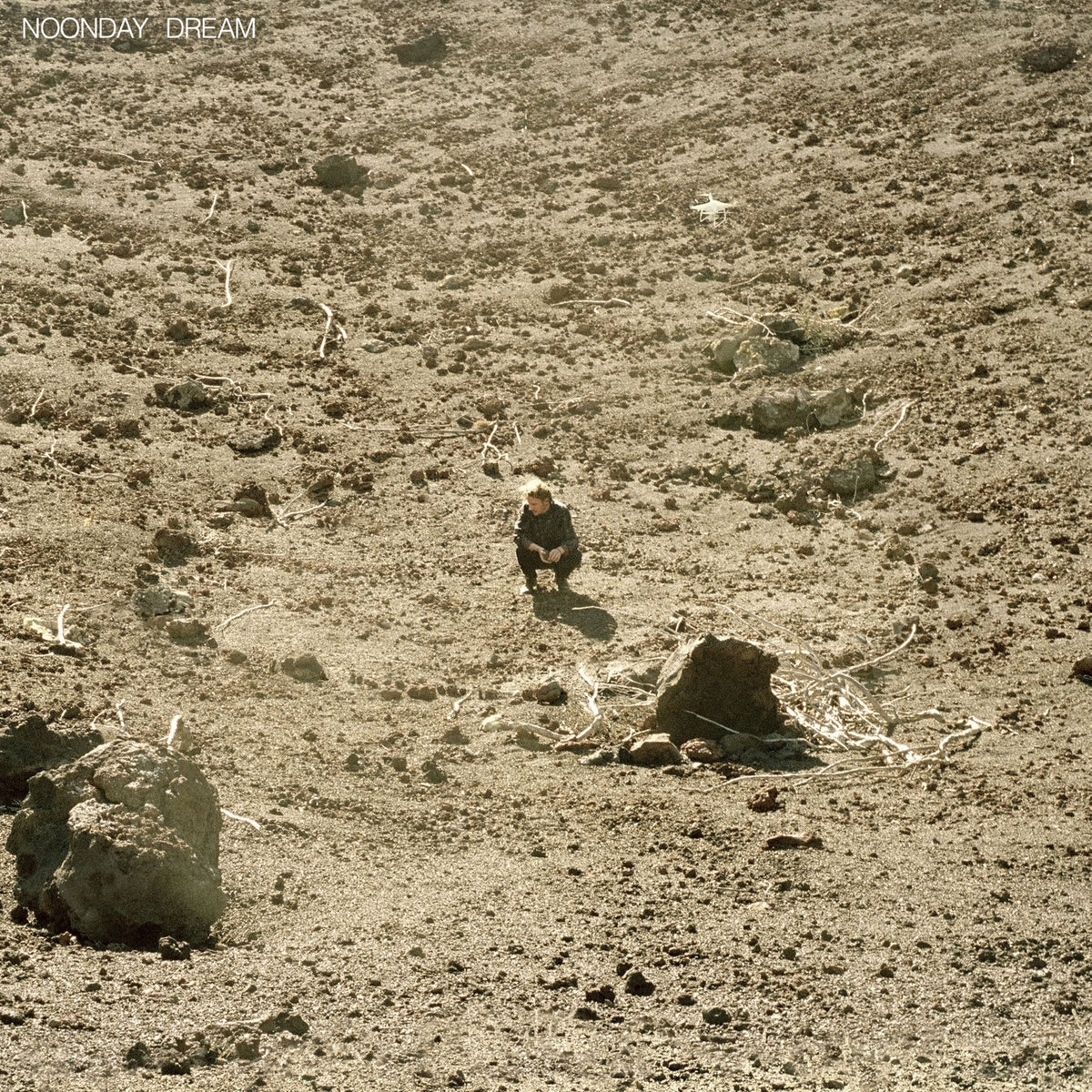 Ben Howard – Noonday Dream vinyl record cover
