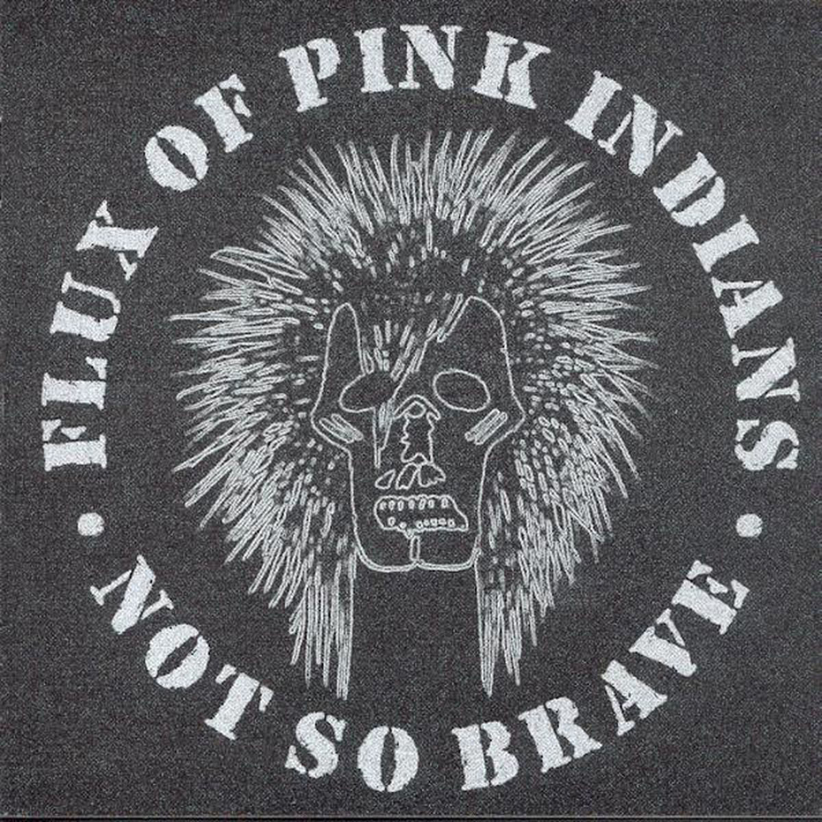 Flux of Pink Indians – Not So Brave vinyl record cover