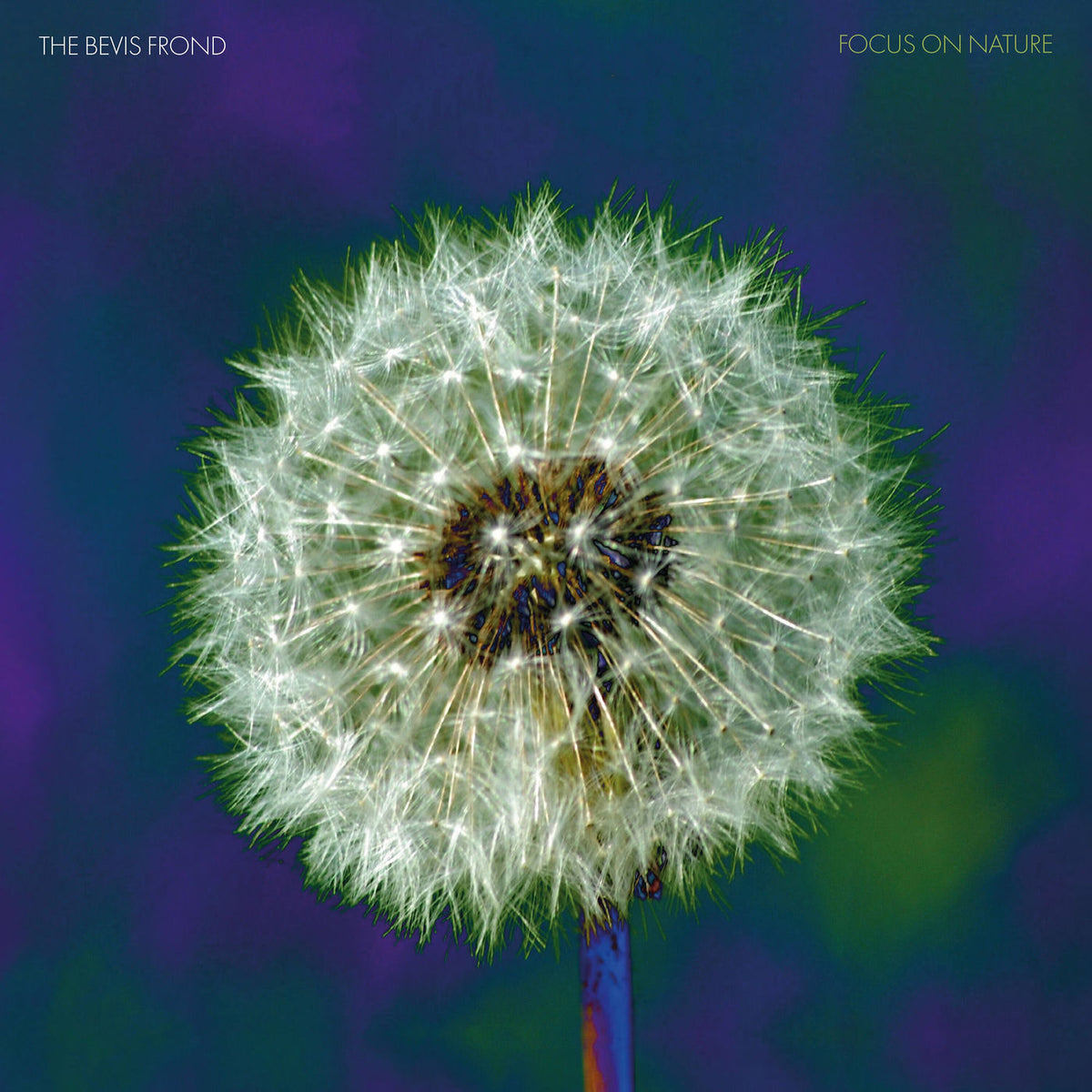 The Bevis Frond – Focus On Nature vinyl record cover