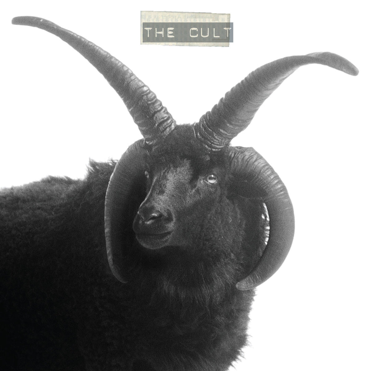 The Cult – The Cult (Coloured Vinyl) vinyl record cover