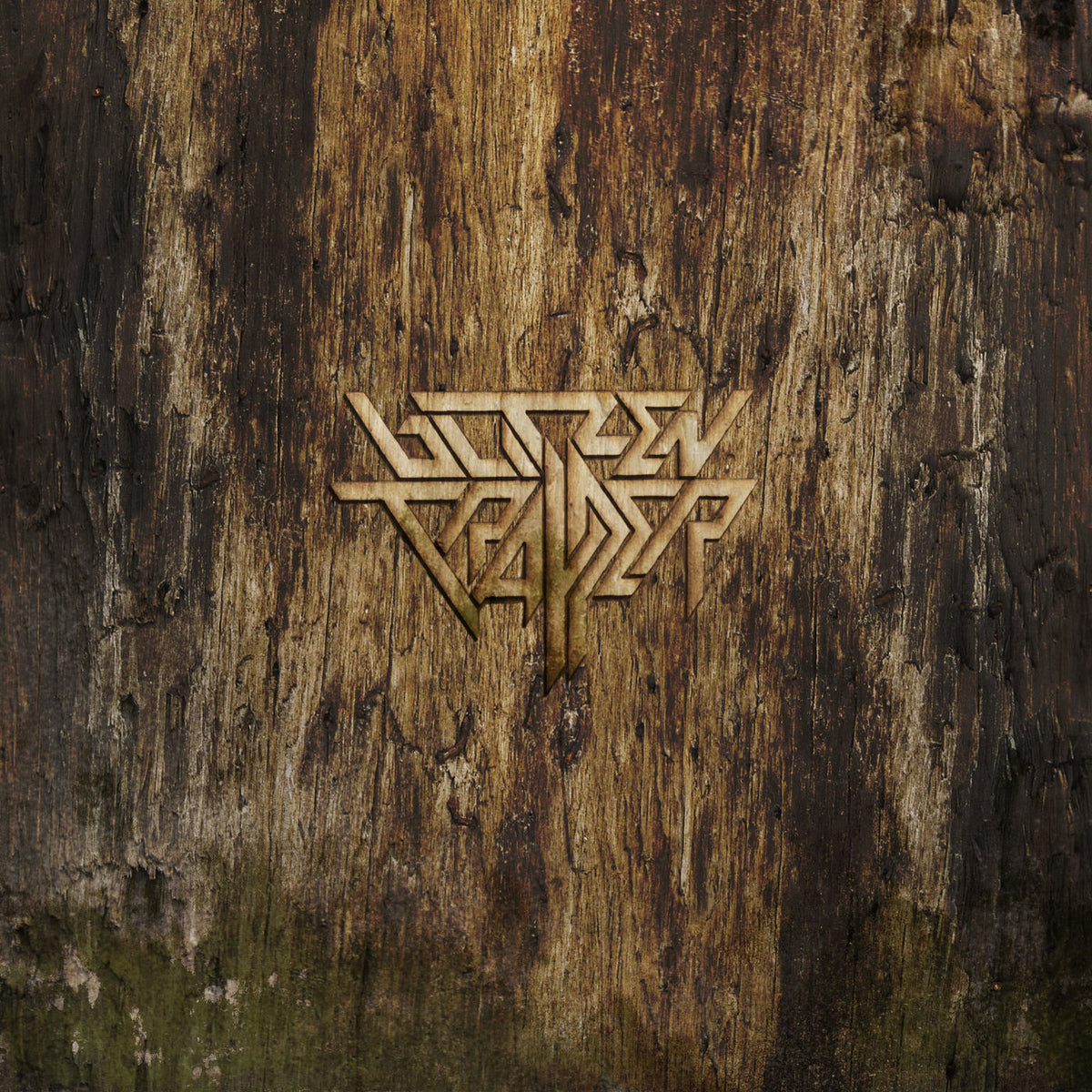 Blitzen Trapper – FURR vinyl record cover