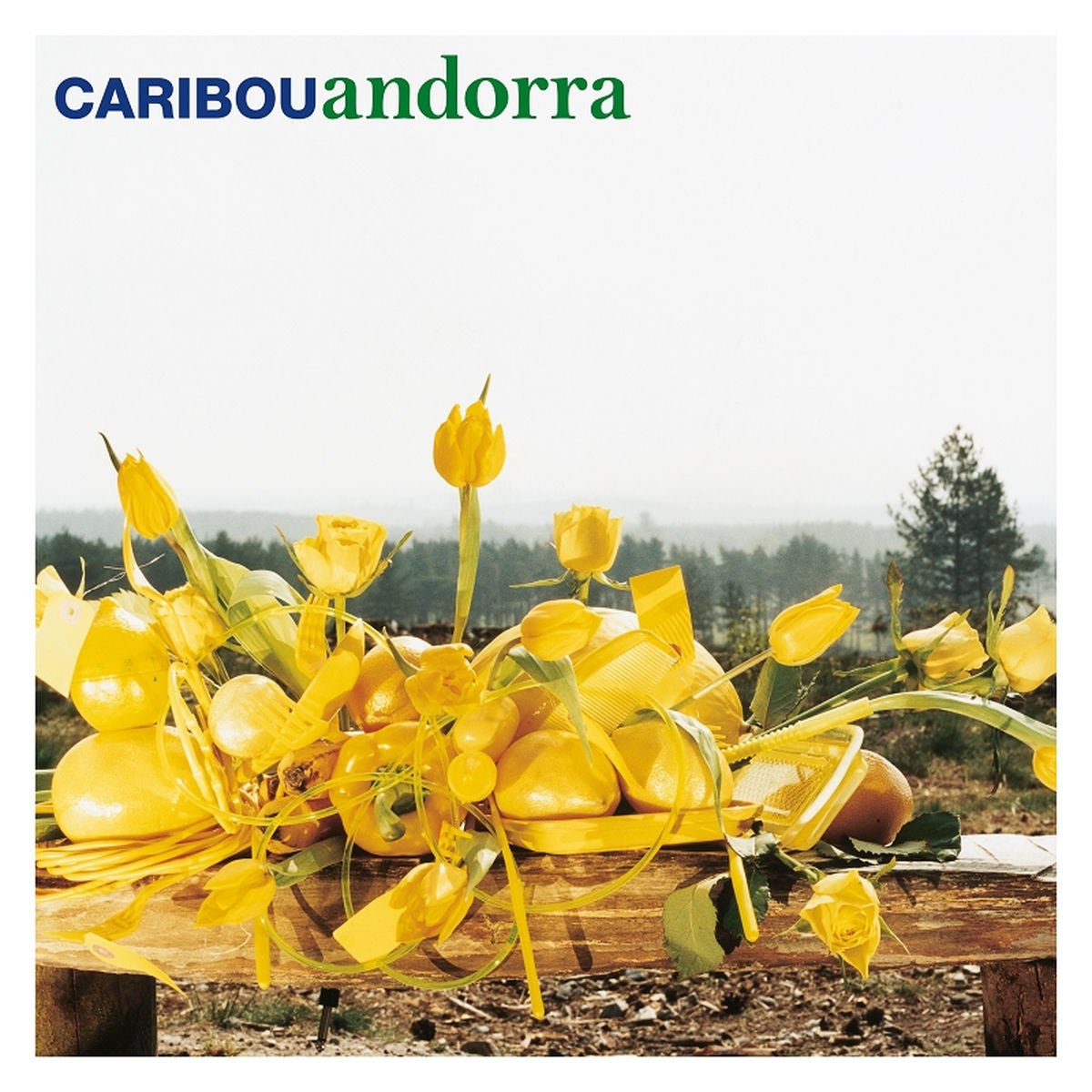 Caribou – Andorra (15th Anniversary Edition) vinyl record cover