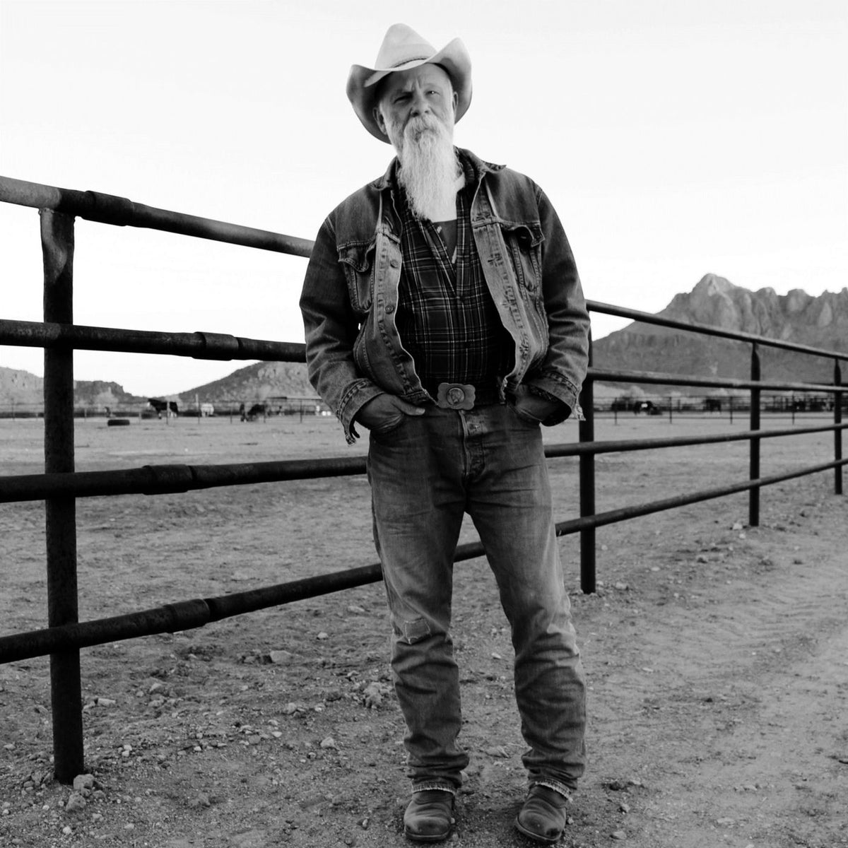 Seasick Steve – Keepin' the Horse Between Me and the Ground vinyl record cover