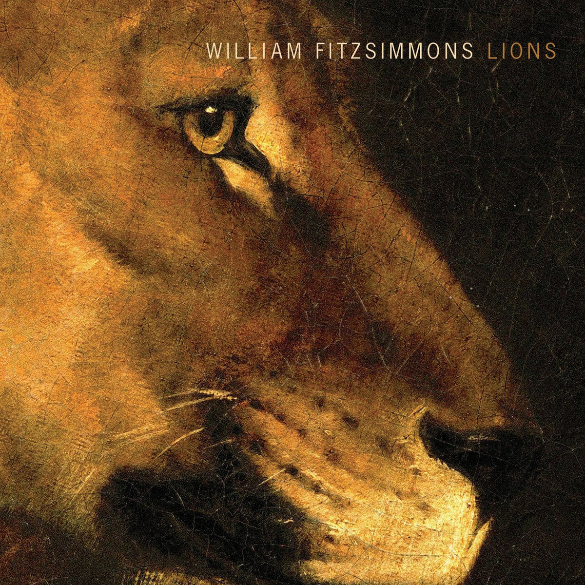William Fitzsimmons – Lions — record image 1