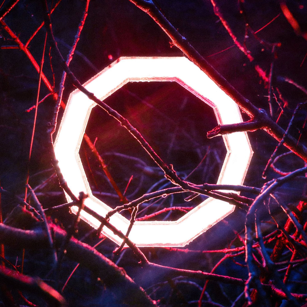 Hybrid Minds – Reflections vinyl cover