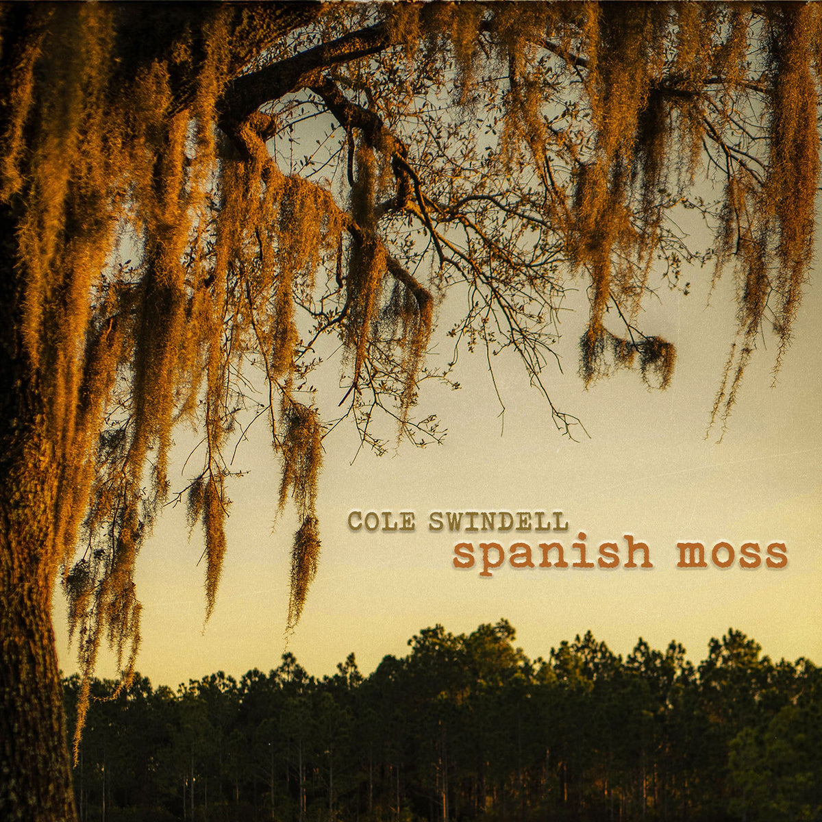 Cole Swindell – Spanish Moss vinyl record cover