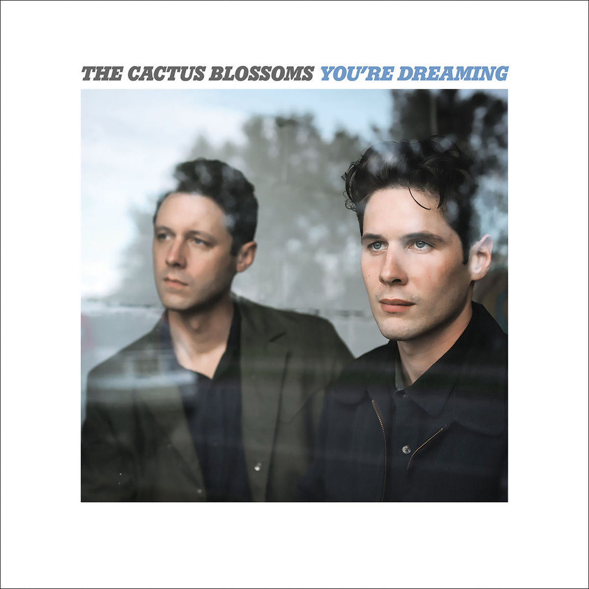 Cactus Blossoms – You'Re Dreaming vinyl record cover