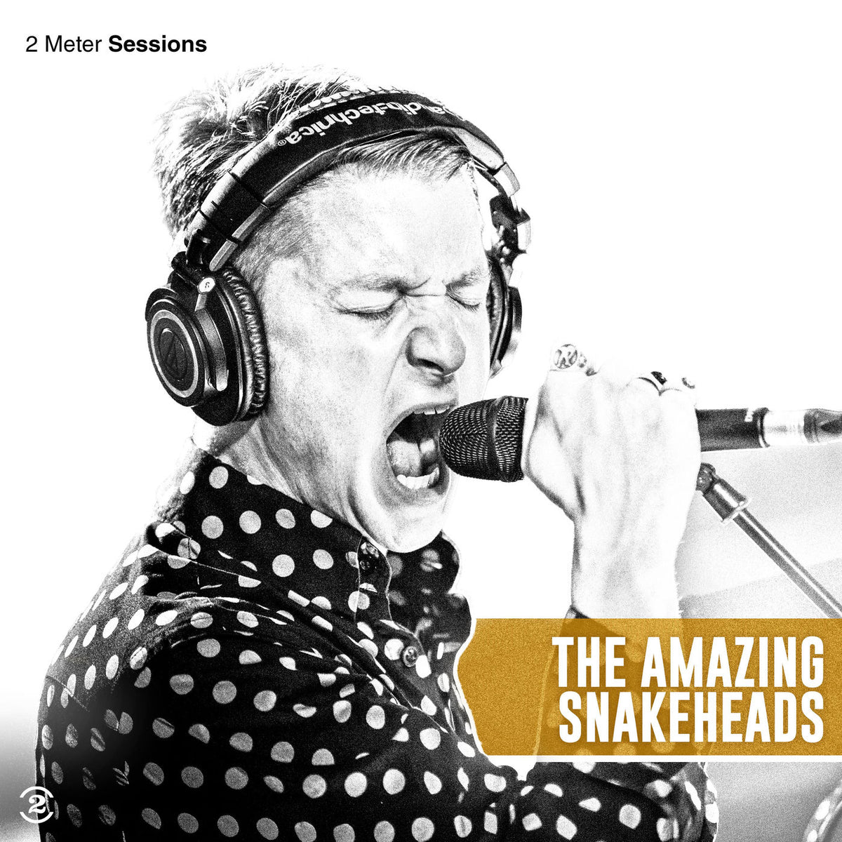 The Amazing Snakeheads – 2 Meter Sessions (Deluxe Edition) vinyl record cover