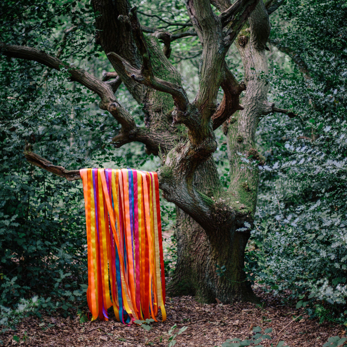 James Holden & The Animal Spir – The Animal Spirits vinyl record cover