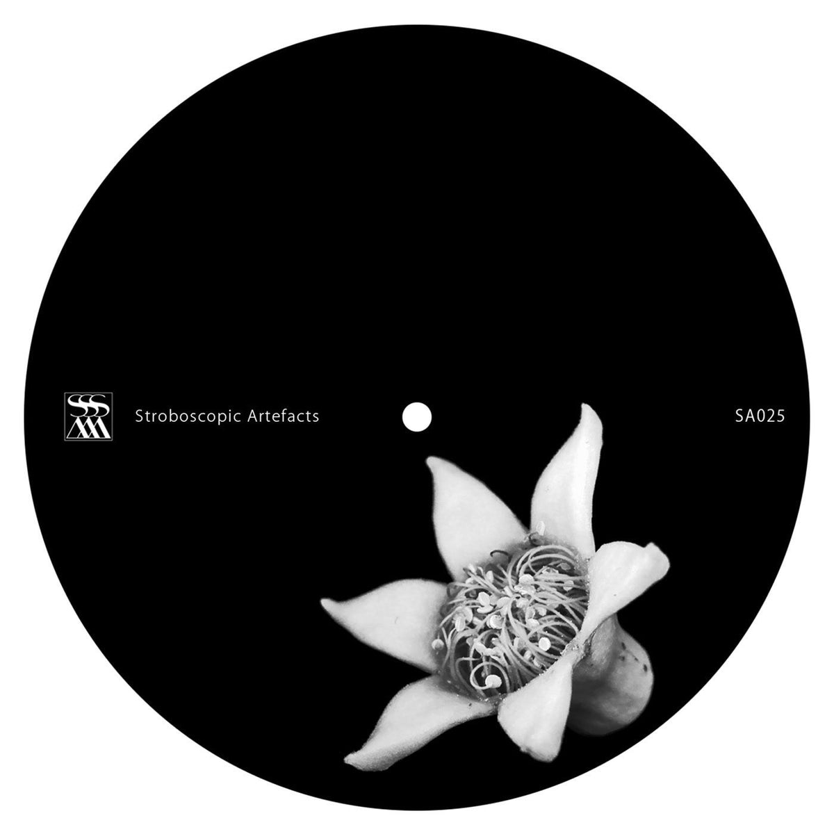 Chevel – Blurse Remixed vinyl cover
