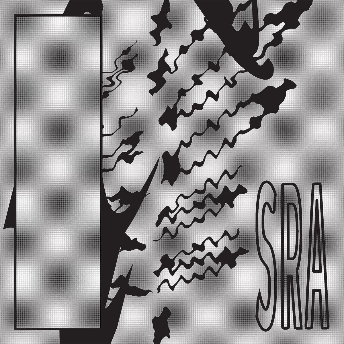 Silk Road Assassins – Reflection Spaces vinyl cover