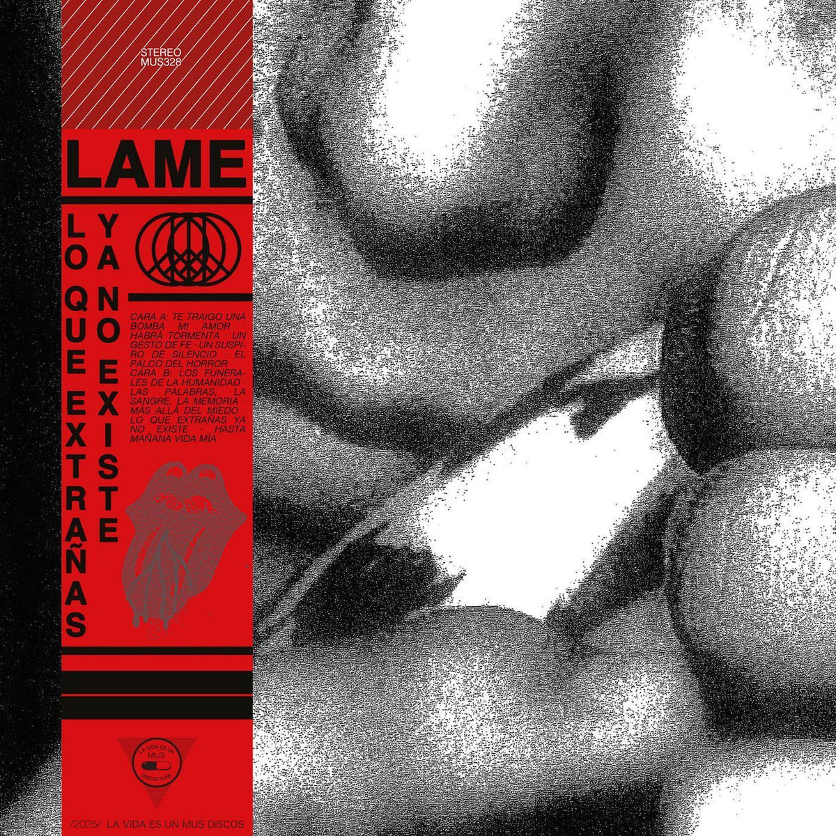 Lame – Lo Que Extrañas Ya No Existe vinyl cover