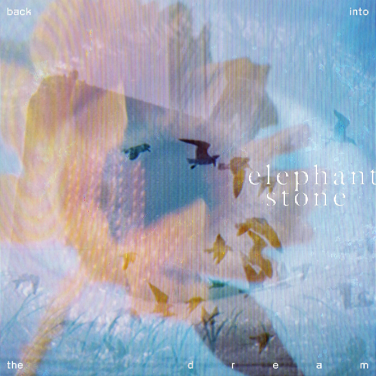 Elephant Stone – Back Into The Dream vinyl record cover