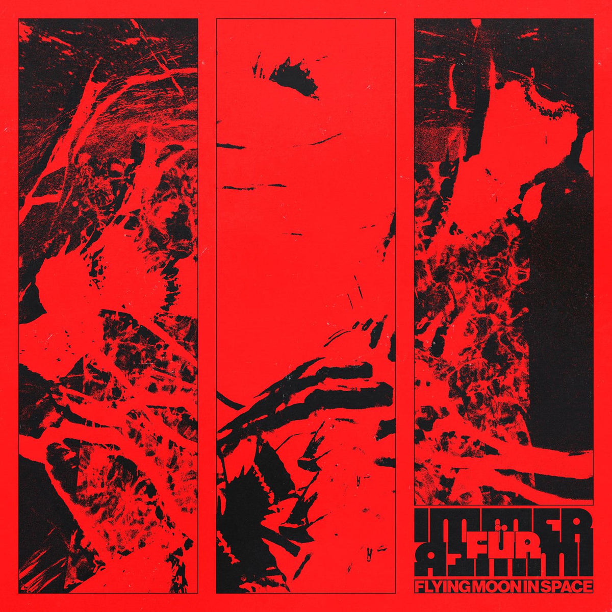 Flying Moon in Space – immer für immer vinyl cover