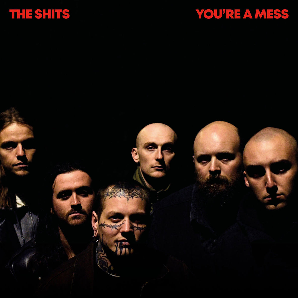 The Shits – You're a Mess — record image 1