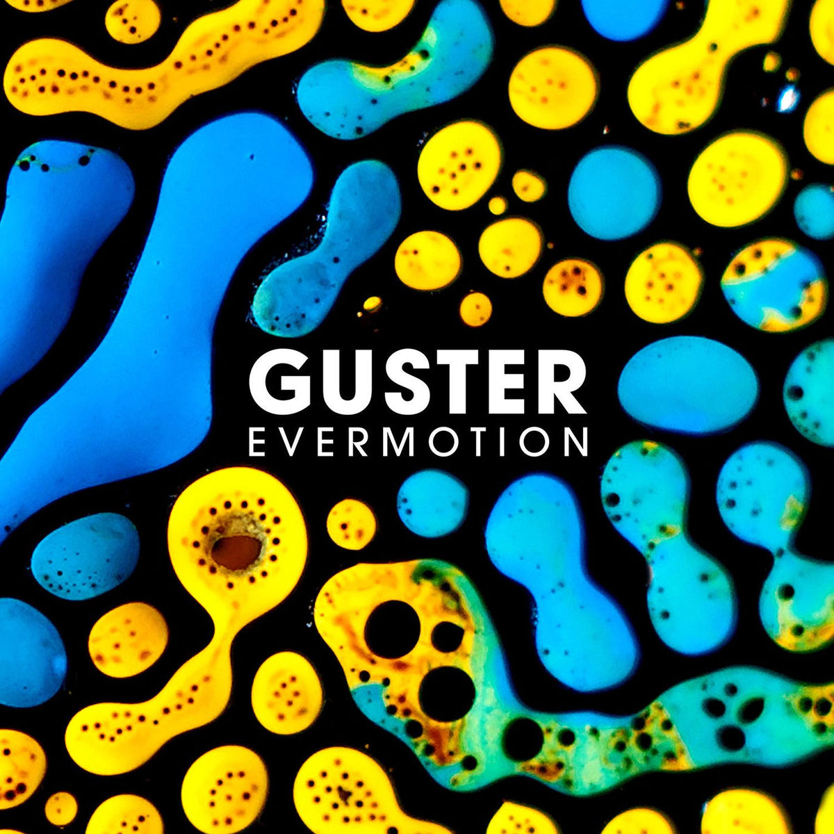 Guster – Evermotion vinyl cover