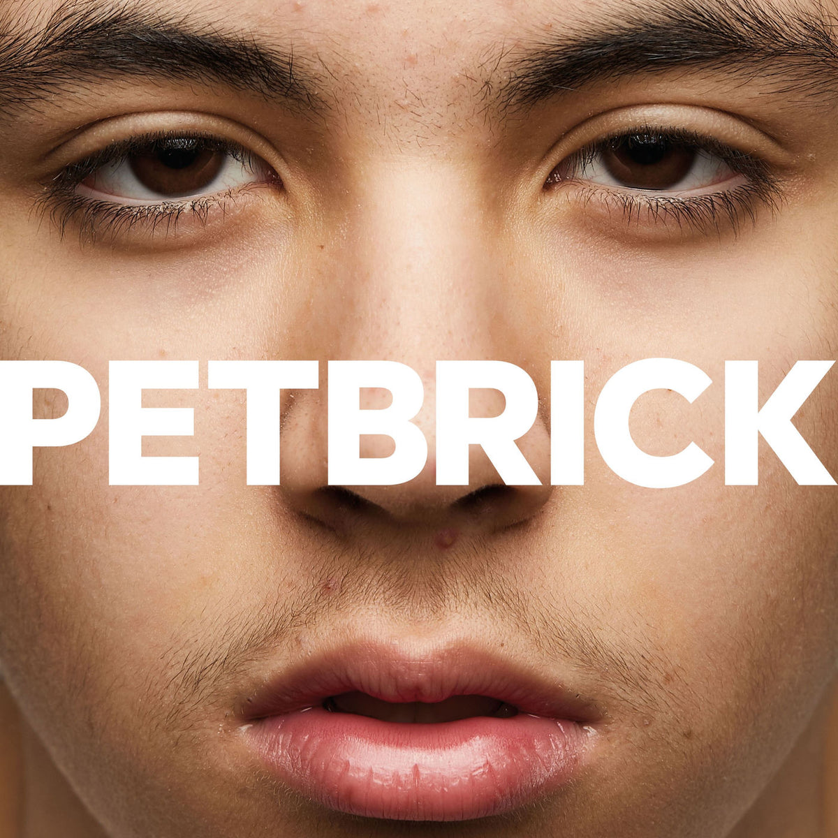 Petbrick – I vinyl record cover