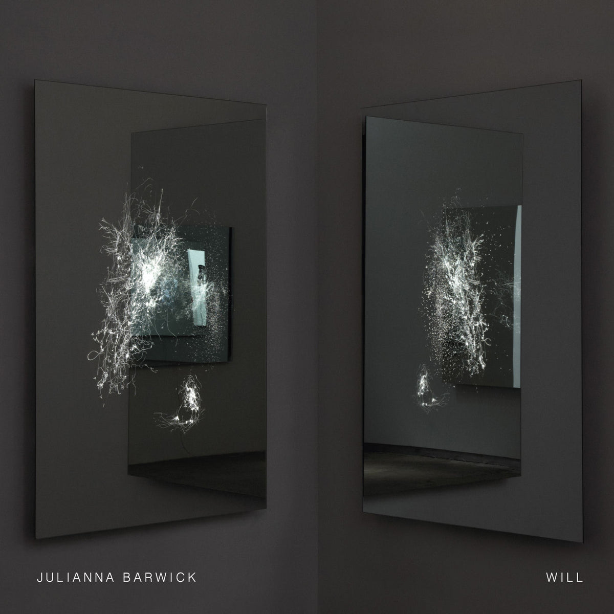 Julianna Barwick – Will vinyl record cover